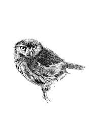 Sketch Birds Flying In The Sky Drawing Birds Flying In The Sky Beautiful Birds Cute Blackandwhite Inspiration Fly Art Artist Penart Pendrawing Illustration Bir Birds Flying Pen Art Birds
