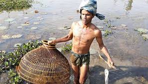 শ্রীমঙ্গলের হাইল হাওরে পলো বাওয়া উৎসব