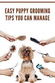 Puppy Grooming Tips Puppy Grooming Dog Grooming Dog Grooming Tips