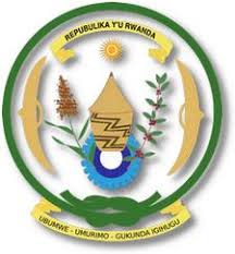 Image result for Vittaria reekmansii