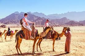 Then you will attend the amazing sunset views in the desert make sure that you have your camera, with a barbeque dinner and bottled water. Quad Biking Camel Riding And Bedouin Dinner Sharm El Sheikh
