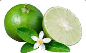 Image result for Citrus × aurantiifolia