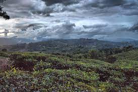 Jika dah sampai di negeri sabah ini jangan lepaskan peluang untuk ke ladang teh sabah yang terletak di sandakan ini. Ladang Teh Sabah Entrance Fee Jika Dah Sampai Di Negeri Sabah Ini Jangan Lepaskan Peluang Untuk Ke Ladang Teh Sabah Yang Terletak Di Sandakan Ini