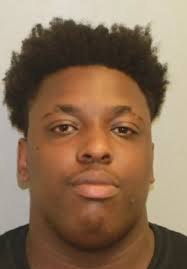 25 of 157 cats rescued from deplorable Brick home are euthanized