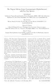 Image result for Crotonogynopsis australis