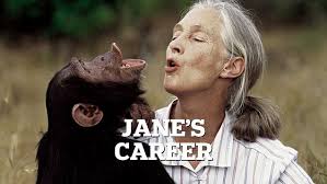 She held our son, Archie': Prince Harry and Meghan Markle pay tribute to  their 'friend' Jane Goodall after chimp expert dies peacefully aged 91