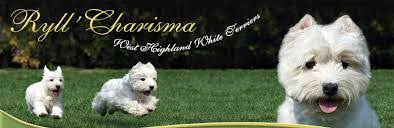 Charisma West's Instagram, Twitter & Facebook