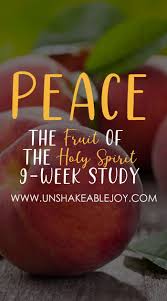 The Fruit Of The Holy Spirit Peace 9 Week Study Unshakeable Joy Bible Devotions Bible Study Help Christian Encouragement