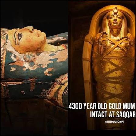 4,300 year old gold wrapped mummy discovered in Saqqara, Egypt