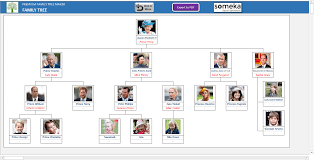 adam and eve family tree chart free pdf www