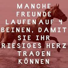 Posts Tagged As Ponysprüche Picdeer