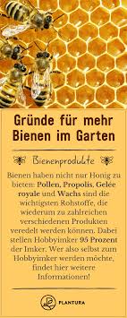 Warum Bienen Im Garten Sinnvoll Sind Plantura Bienen Bienenfreundliche Pflanzen Imker