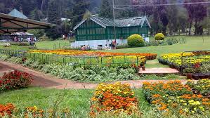 A visit to a botanical garden simple essay. Botanical Garden Ooty The Nilgiris District Tamilnadu India