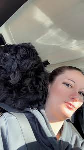 Missing!!! Black golden doodle missing since about 2:30, near Tincher and  Epler. She has a small white spot