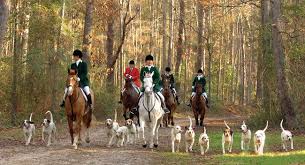 Fox Hunt Aiken Majestic Horse The Fox And The Hound Hunting Trip