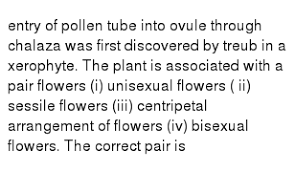 Not many people know that flowers are banned in most hospitals. Add The Predicate To The Following Subjects First A Bunch Of Flow