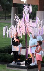 Runners race in Twilight Run to benefit Heaven's Cradle: in photos