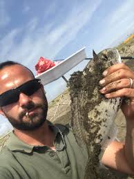 La dorada surfcasting