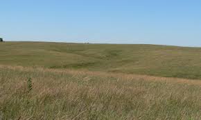 Gabel Family [RG5346.AM]