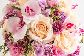 They make you feel special, graceful and elegant at the same time. 1 038 455 Bouquet Flowers Photos Free Royalty Free Stock Photos From Dreamstime