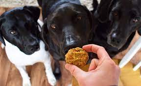 Ingredients 1 medium ripe banana 2 large carrots 28ml/2 fl oz apple or cranberry or vegetable juice (no citrus juice) mixed with equal amount of water. Homemade Dog Treats Recipe Allrecipes