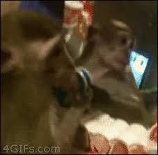 Check spelling or type a new query. Mrais Just Cut It The Way You Want To My Barber Gif On Imgur