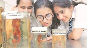 February 2021.if you were searching on the internet to download bseb 12th compartment admit cards than. Bihar Board Bseb Intermediate Admit Card 2021 For Practical Exam Released Here S How To Download Education News The Indian Express