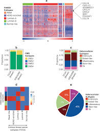 Heterocellular Gene Signatures Reveal Luminal A Breast