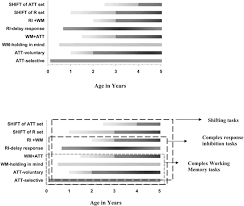 Image result for Higher Integrative Function