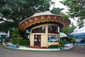 Krb sangat cocok dijadikan pelepas penat dan pencuci mata. Sudah Pernah Ke Tempat Wisata Dekat Stasiun Bogor Ini Sang Pejalan