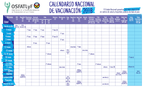 Lo informó la directora de control de enfermedades inmunoprevenibles, analía mykietiuk. Calendario Nacional De Vacunacion Osfatlyf