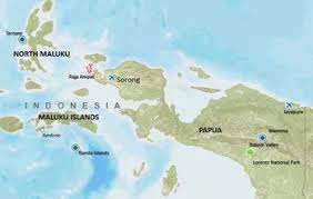 These are the famous ' spice islands' which drew indian, chinese, arab and eventually european traders in search of cloves and nutmeg. Papua And Maluku Islands Travel Guide Indonesia Travel Guide