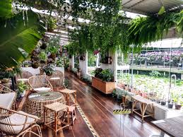 Ulu yam bharu(pembetulan) for later. Day Trip World Of Phalaenopsis Ulu Yam Something Different Pork Free Thefoodbunny