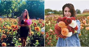 Ottawa flowers and gifts by weekly flowers ottawa a bbb accredited local ottawa florist providing same day ottawa flower delivery and orleans flower delivery. You Can Pick Your Own Flowers At This Adorable Field In Ontario Narcity