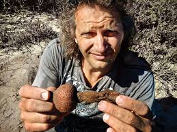 Short Incursion: The Wonderland of Edible Parasites