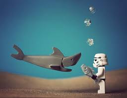 Mike Stimpson Fish Feeding Storm Trooper Underwater Lego Star Wars Lego Star Happy Star Wars Day