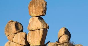 Image result for Strychnos matopensis