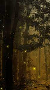 Flying Fireflies Live Wallpaper Forest Of The Fireflies Wallpaper Lightning Bugs Firefly Bug Firefly Photography Live Wallpapers Night Forest
