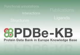 Pdb data are used by hundreds of data resources and millions of users exploring fundamental biology, energy, and biomedicine. Protein Data Bank Archives Embl