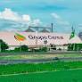 Zen-Noh Brazil Finalizes Strategic 30% Stake Acquisition in Grupo Cereal to Boost Agribusiness Growth