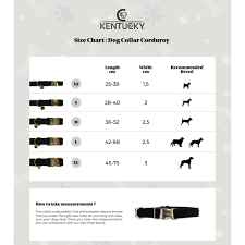 Maybe you would like to learn more about one of these? Kentucky Dogwear Corduroy Dog Collar Uk Just Equine