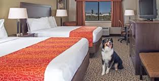 Последние твиты от kelly inn west yellowstone (@innkelly). Kelly Inn West Yellowstone In West Yellowstone Mt Expedia