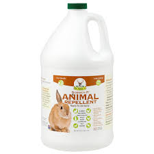 Bobbex-R Animal Repellent Half Gallon Concentrated Spray | Bobbex