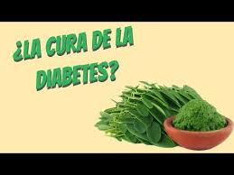 La remolacha y la diabetes pueden ayudarse. La Moringa Cura La Diabetes Mitos Y Realidades Youtube