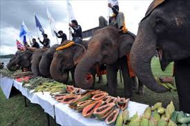 New taste for Thai elephant meat