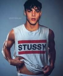 Pin By Grace Amaral On Dolan Twins Dolan Twins Dollan Twins Dolan Twins Memes