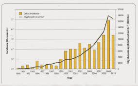 Granny Good Food Gluten Intolerance Is Really Glyphosate