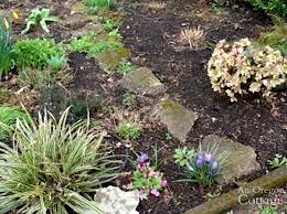 From dandelions to daisies, no always mulch your borders, which will prevent weeds from spreading on to your lawn. 5 Easy Steps To Organic Weed Control For Beds Borders An Oregon Cottage