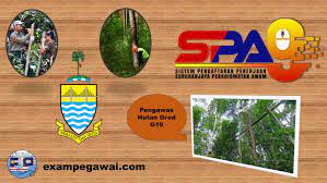 Bekalan faslitas latihan pondok skuad bawah objek sebagai os 26000 batalion pertama rejimen renjer diraja bagi pembangunan pekan sentral, pekan, pahang (kontraktor berdaftar dengan cidb gred g7 atau pukonsa. Jawatan Kosong Kerajaan Negeri Pulau Pinang Pengawas Hutan Gred19