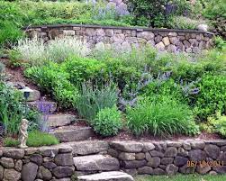 Stabilizing a steep slope minimizes soil erosion and encourages a thriving ecosystem. Pin On Outdoors